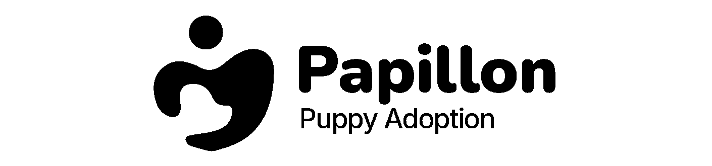 Papilllon | Puppy Adoption